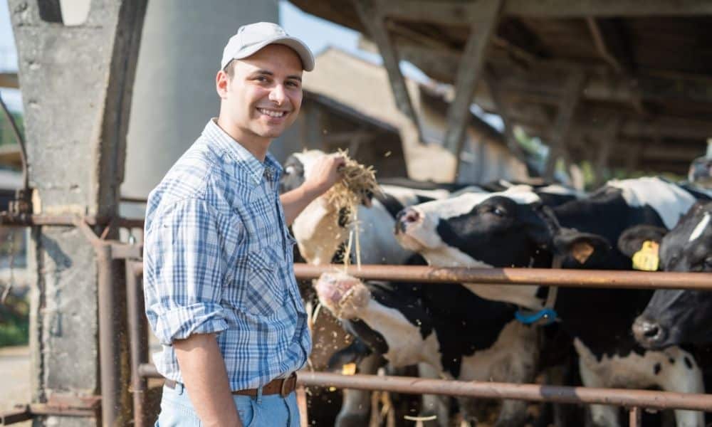 PVD Kooij Groep Schiedam diervoerder boer