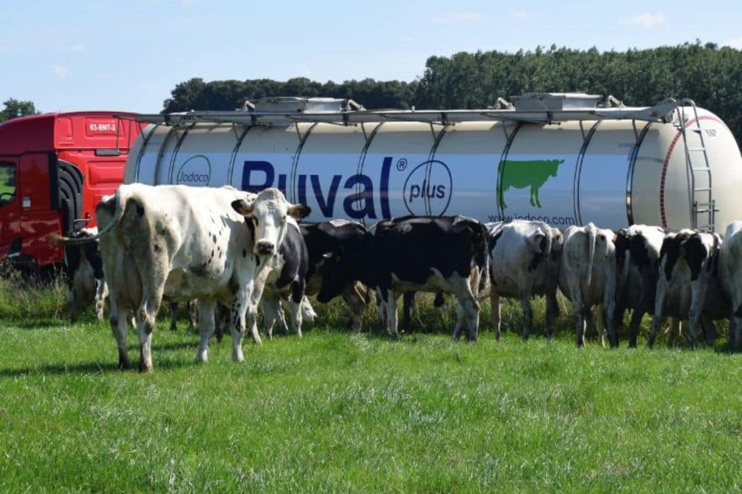 Ruval Plus P van der Kooij Groep Schiedam