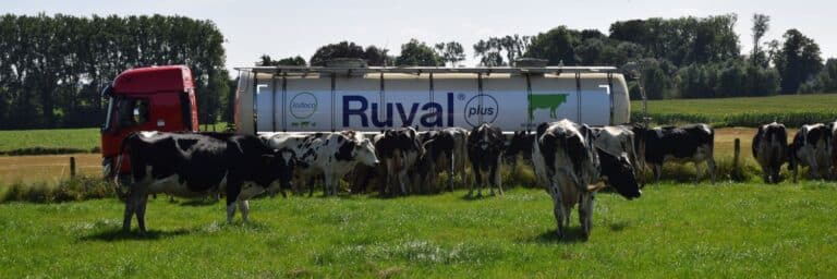Ruval Plus Proef in de praktijk diervoeder Pvd Kooijgroep Jodoco